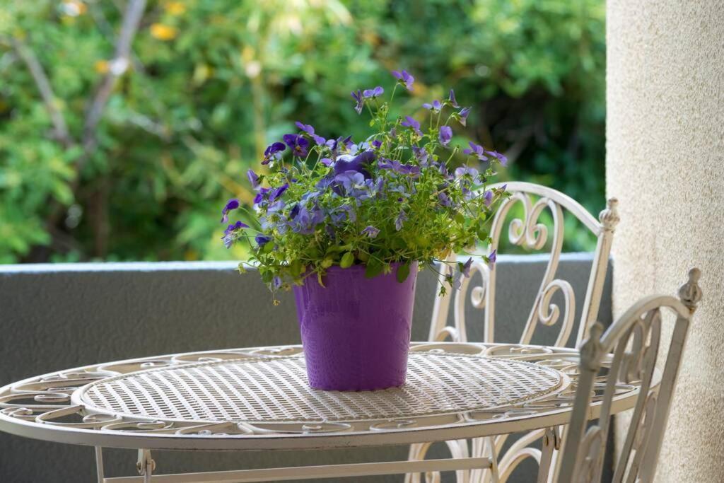Apartman Leda Dubrovník Exteriér fotografie